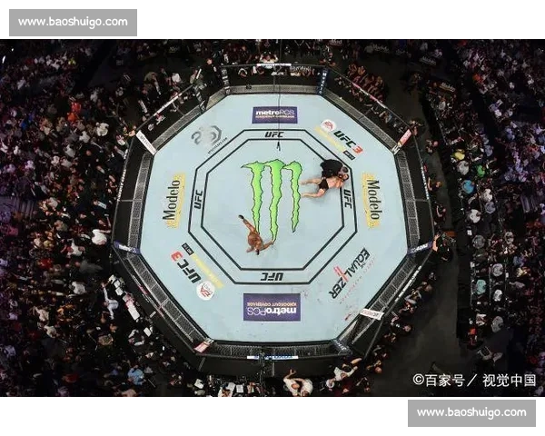 UFC 317 终极备战：八角笼即将点燃，谁能笑到最后？