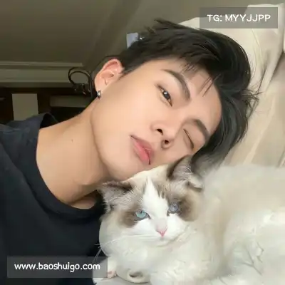 符弛照